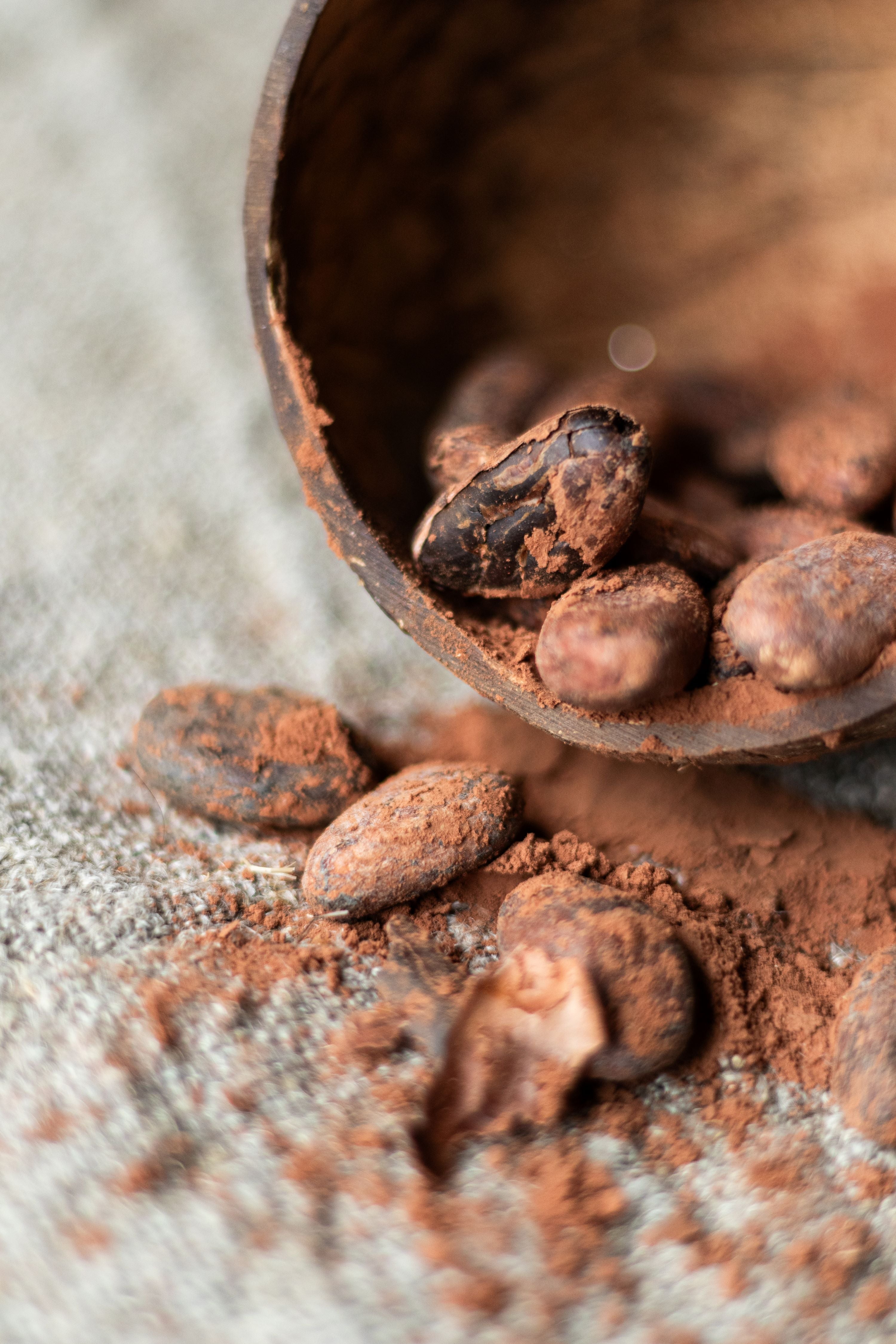bakje met cacao bonen en poeder